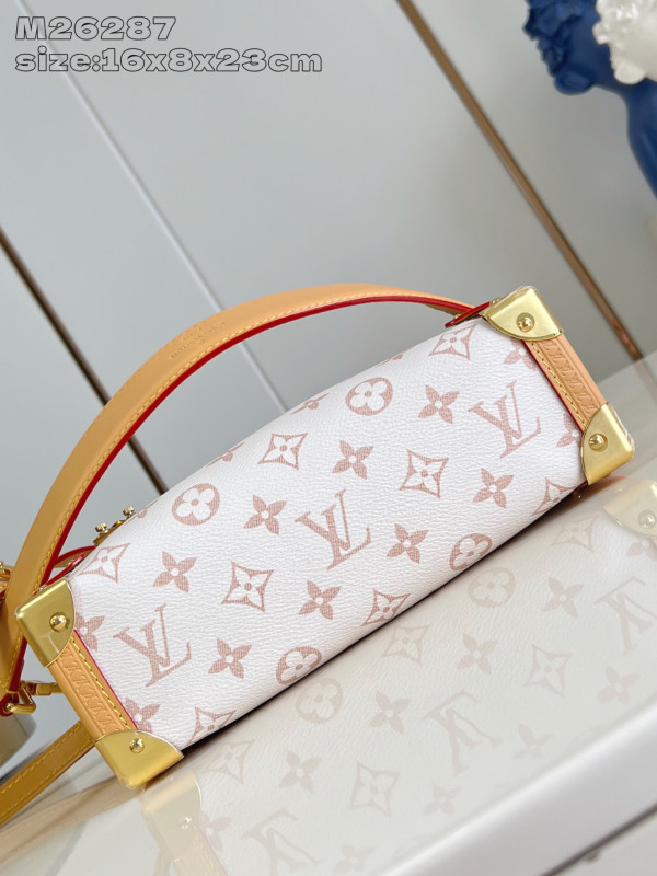 l0*is V*t0n side trunk mm-23.5*16*8.5cm